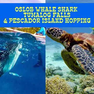 Oslob Whale Tumalog and Pescador Island