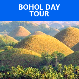 Bohol Countryside Tour