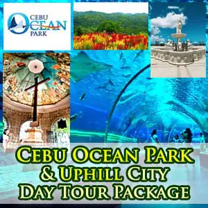 Ocean Park and City with Uphill tour