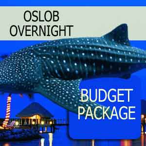 Overnight Oslob Whale Budget