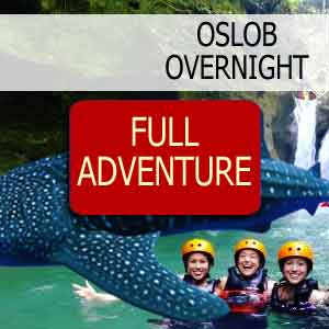 Overnight Oslob Whale full adventure